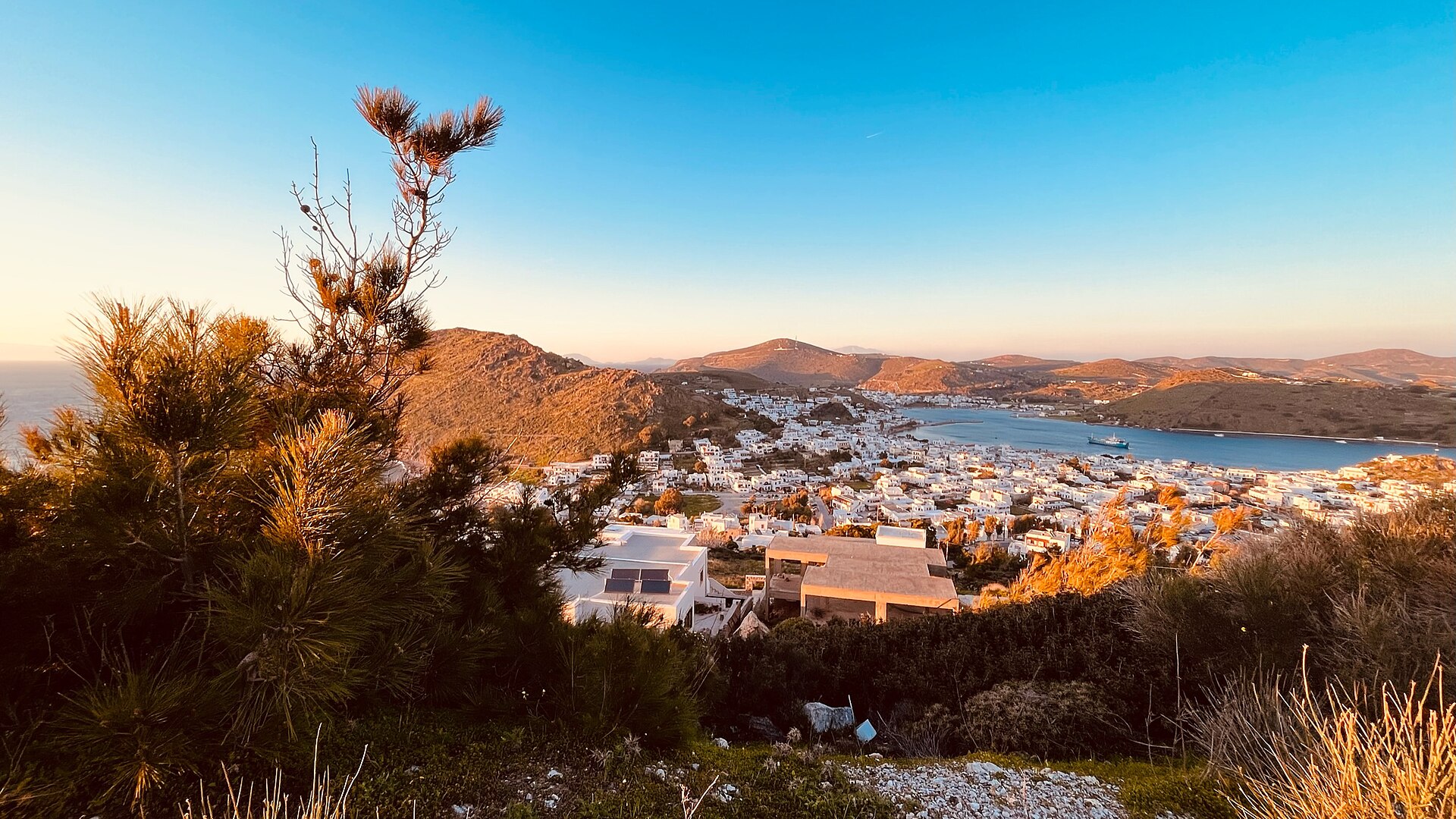Άποψη της Σκάλας και των λόφων της Πάτμου, με μεσογειακή βλάστηση στο πρώτο πλάνο.