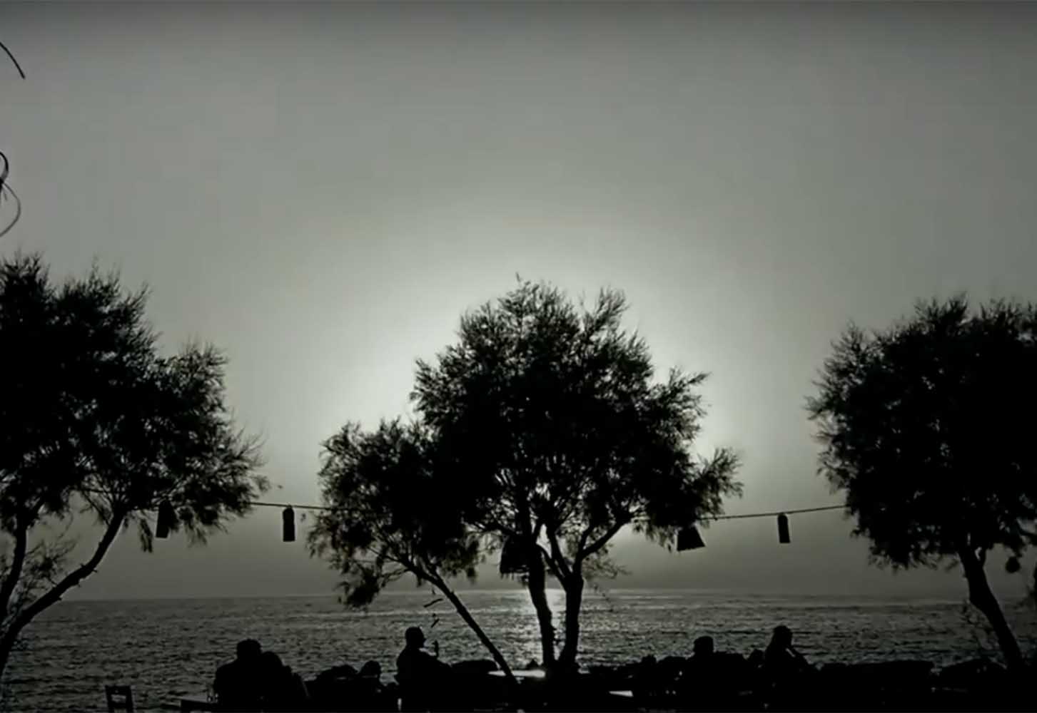 Σιλουέτες δέντρων και ανθρώπων δίπλα στη θάλασσα.